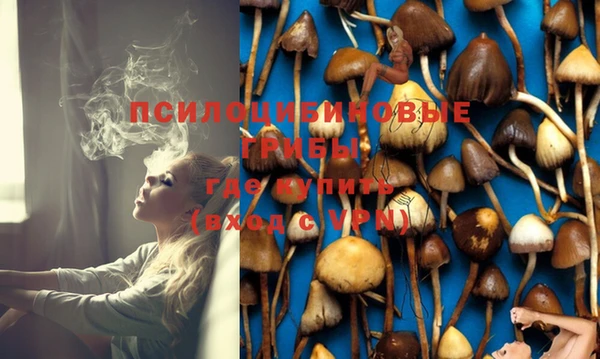 молекула духа Алексин