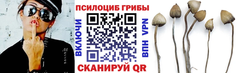 Псилоцибиновые грибы Cubensis  площадка телеграм  Лукоянов 